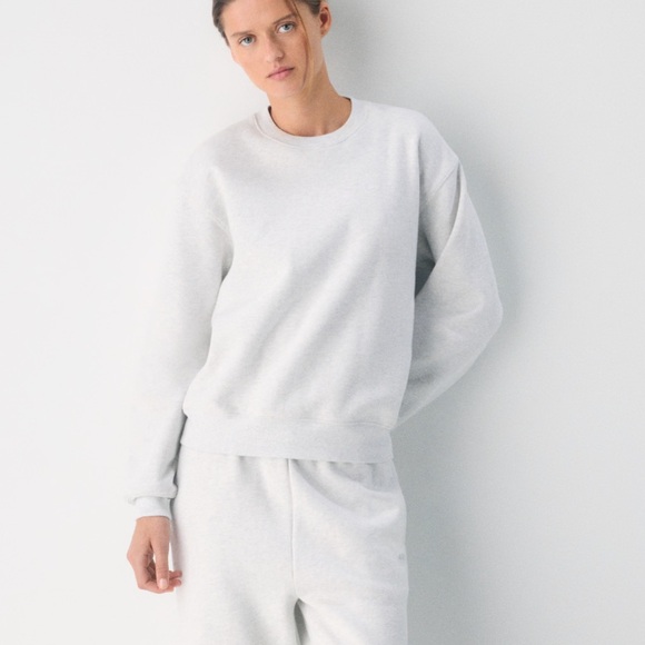 Aritzia Other - aritiza // cozy sweatfleece perfect crew sweatshirt